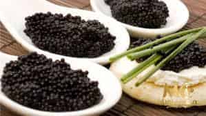 فروش خاویار اصل ایرانی + قیمت خرید به صرفه